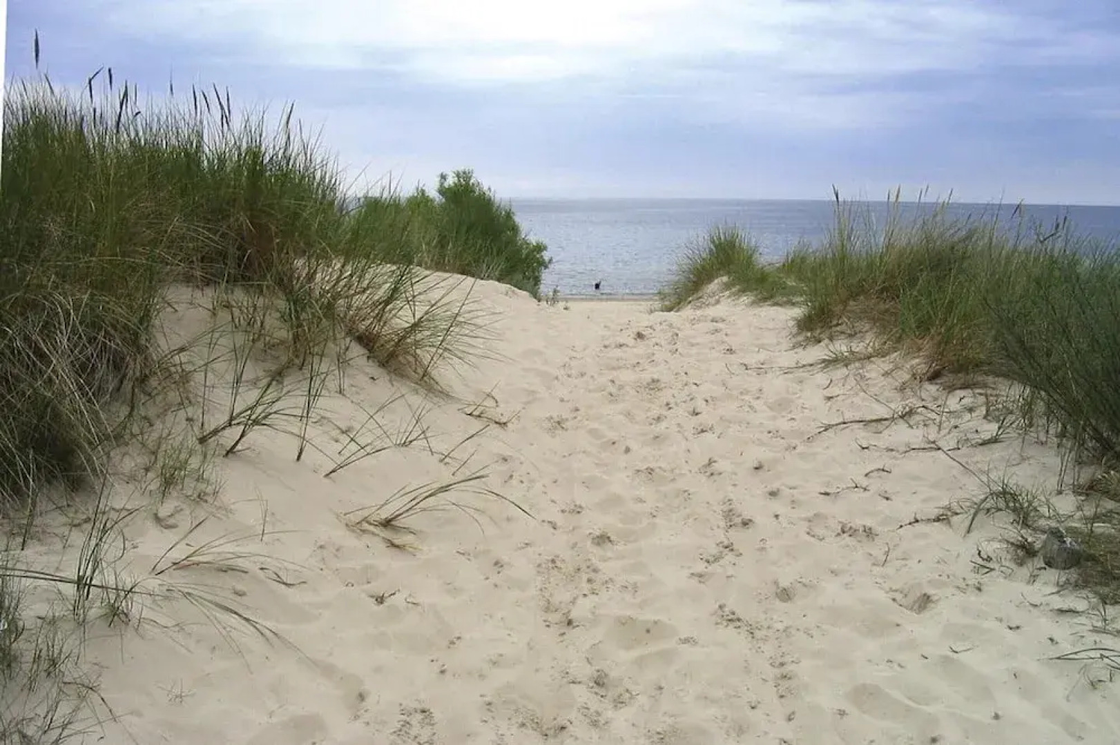 Doppelhaushalfte Dunenhaus I, Trassenheide