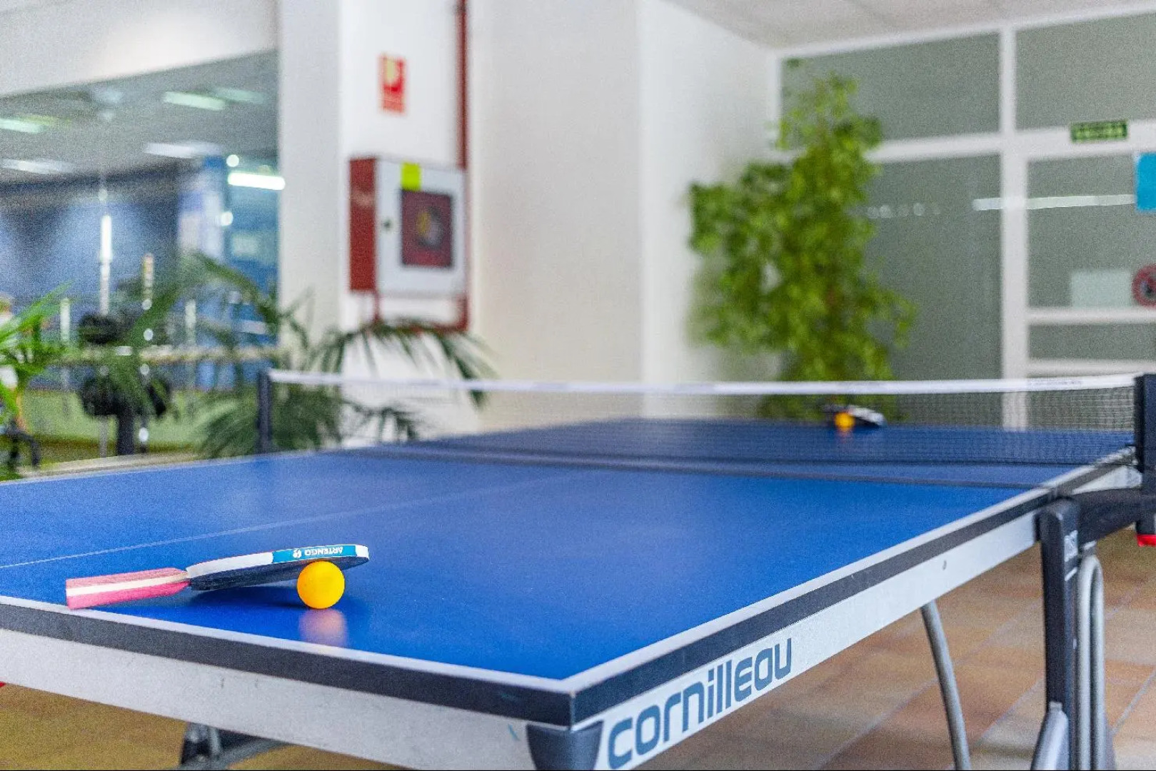 Royal Oasis Club at Pueblo Quinta