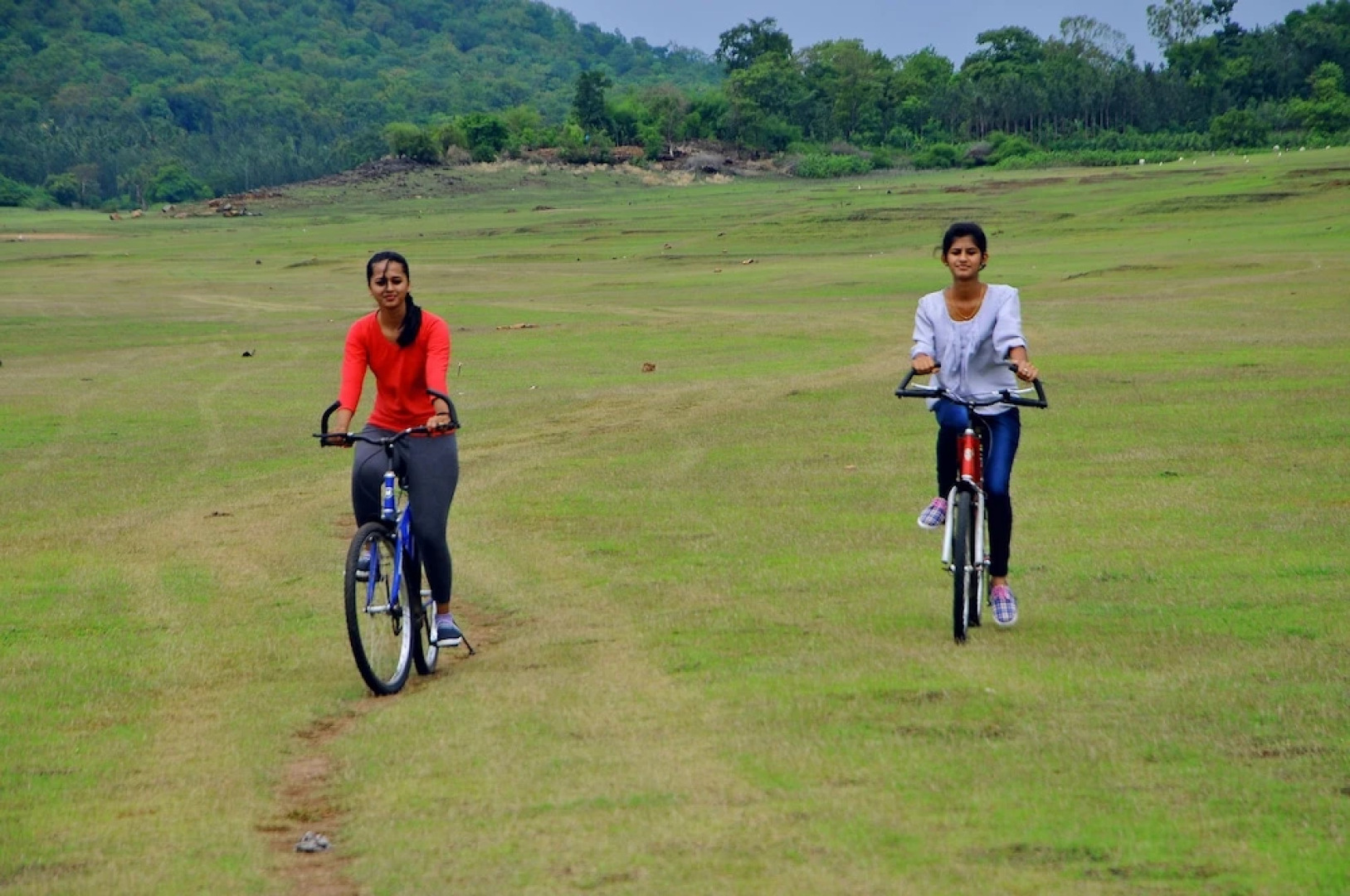 Coorg Jungle Camp Holiday Resort