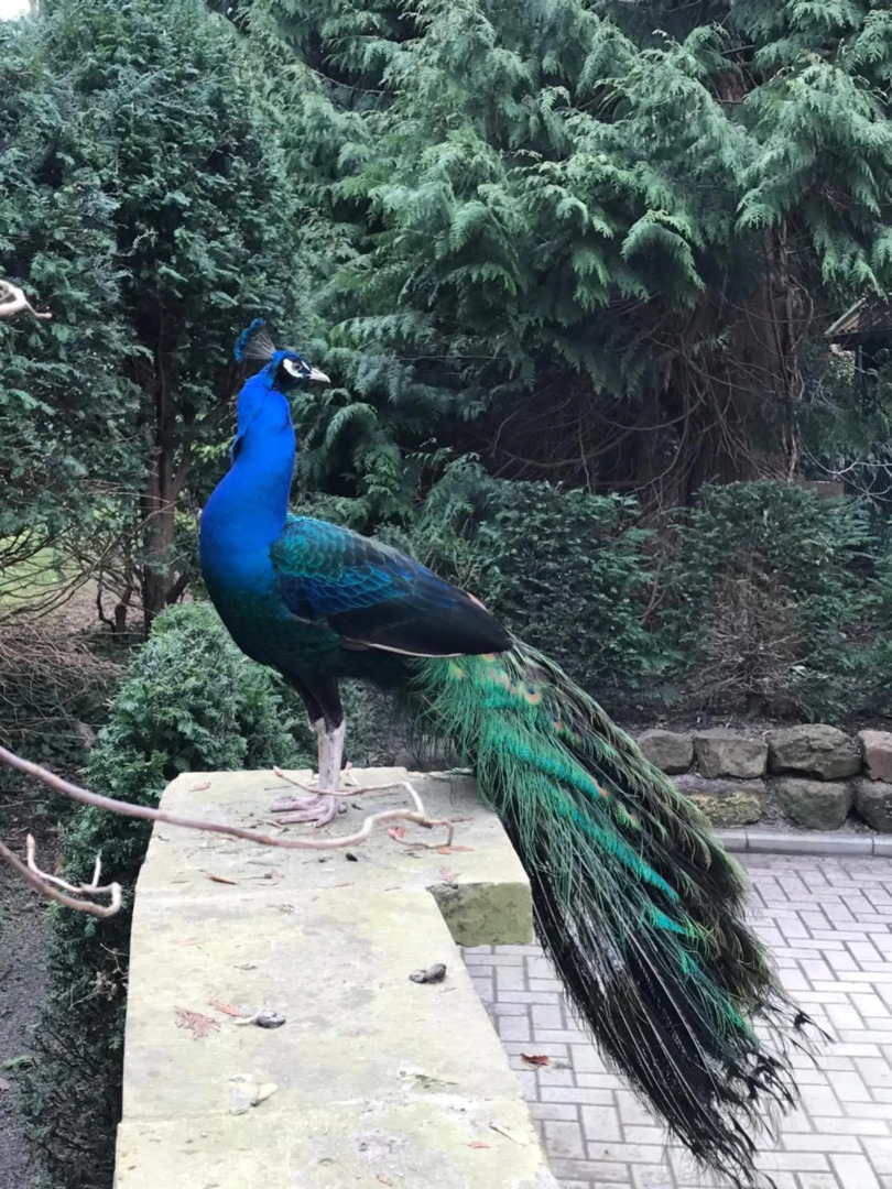 Ferienwohnung Ausguck