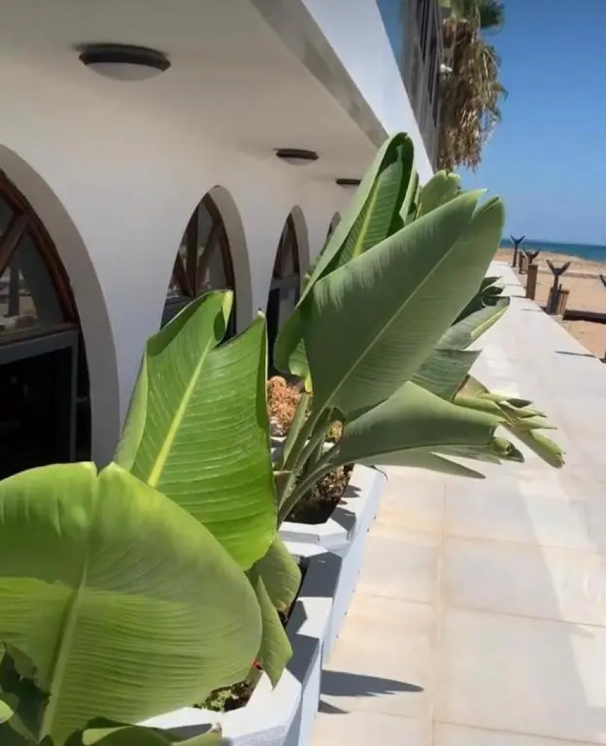 Stunning 2 plus 1 apartment for rent in ABELIA RESIDENCE at Bogaz with beautiful sea and mountains views