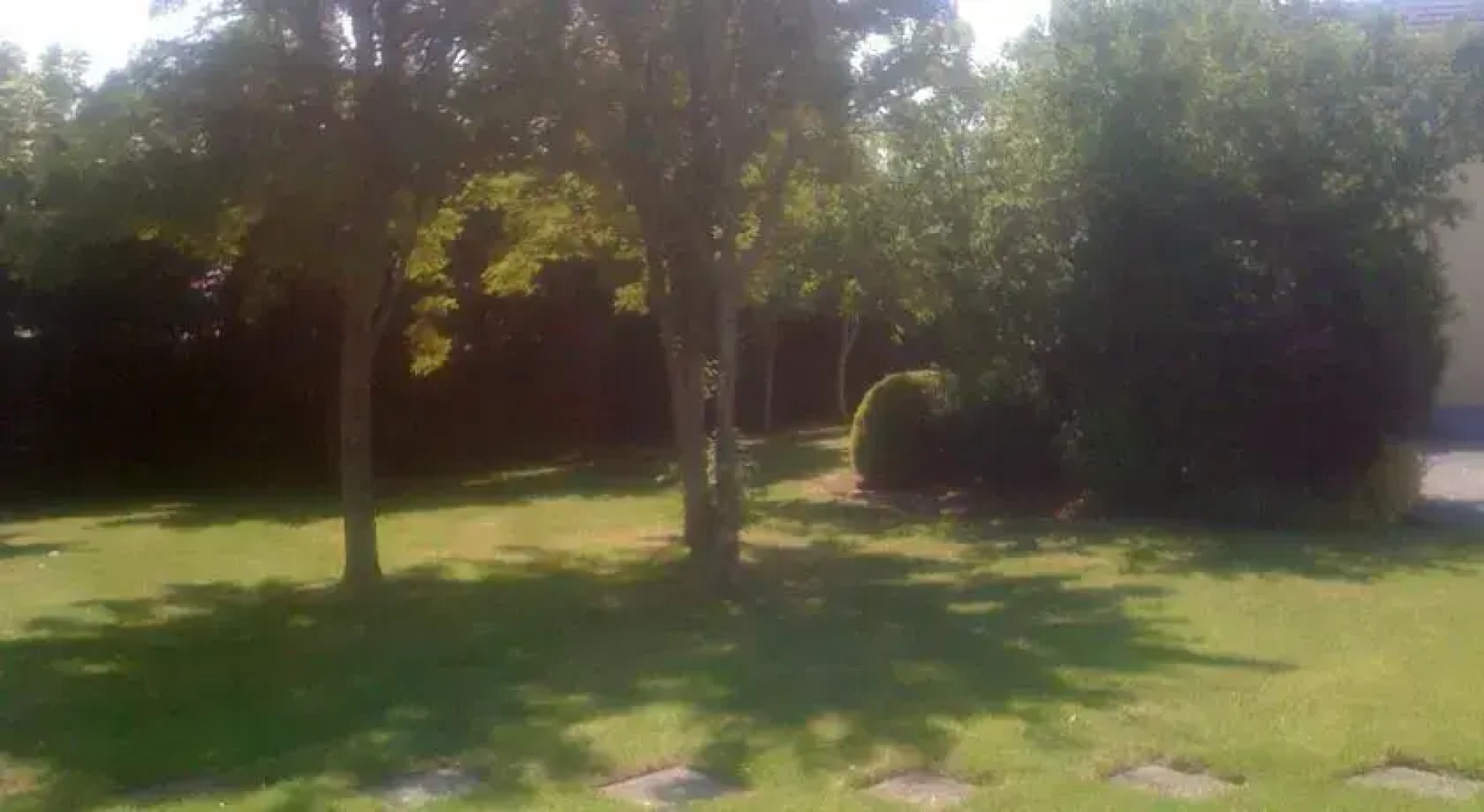 The Waterside Cottages