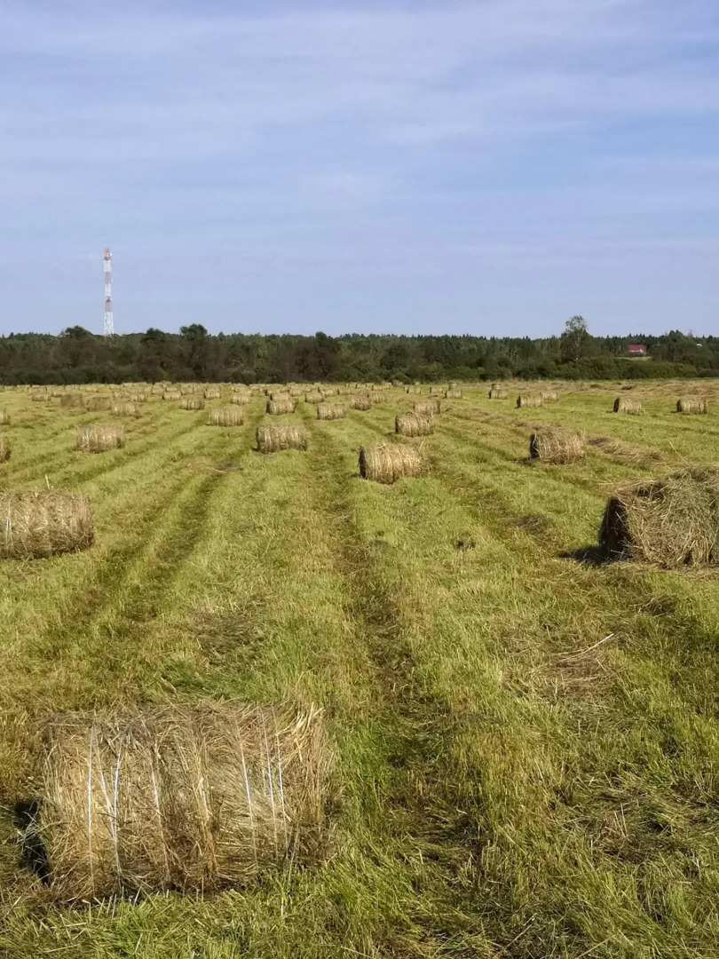 Усадьба Красивая