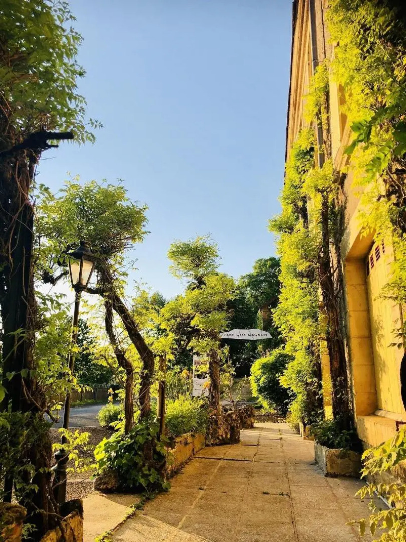 Hôtel Le Cro-Magnon