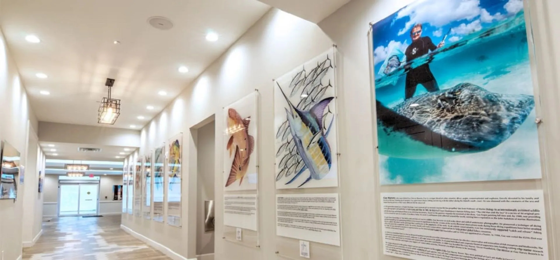 Guy Harvey Resort on St Augustine Beach