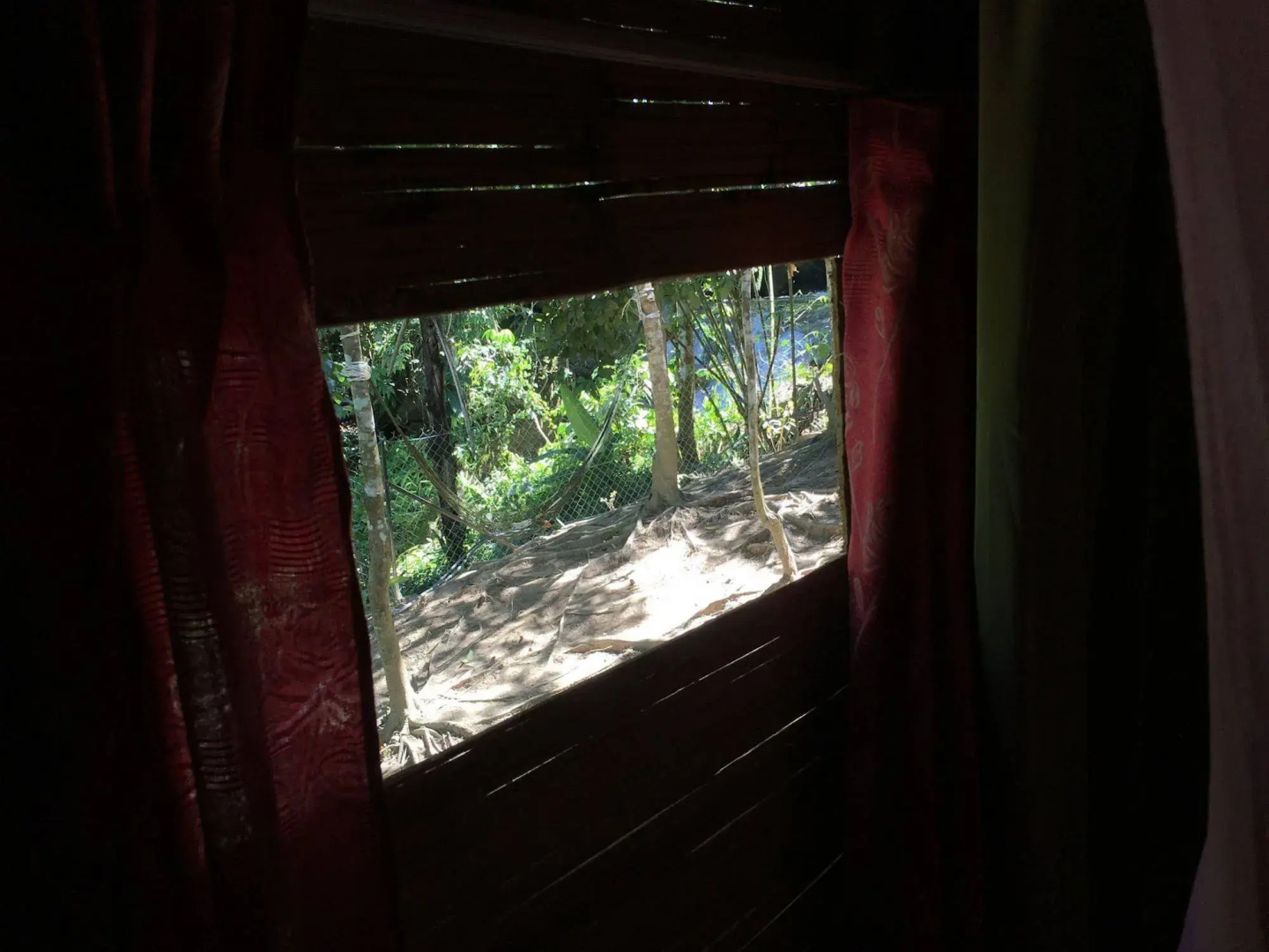 Rain Forest Inn