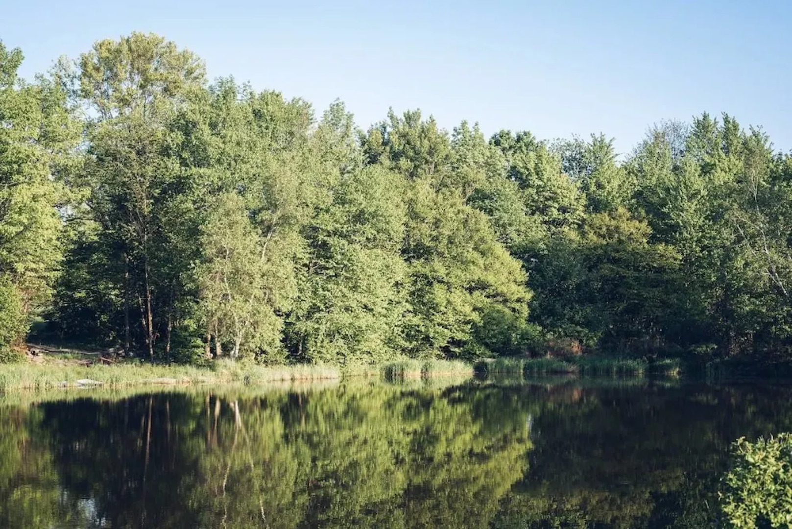 Tentrr - Camp Sugarbush