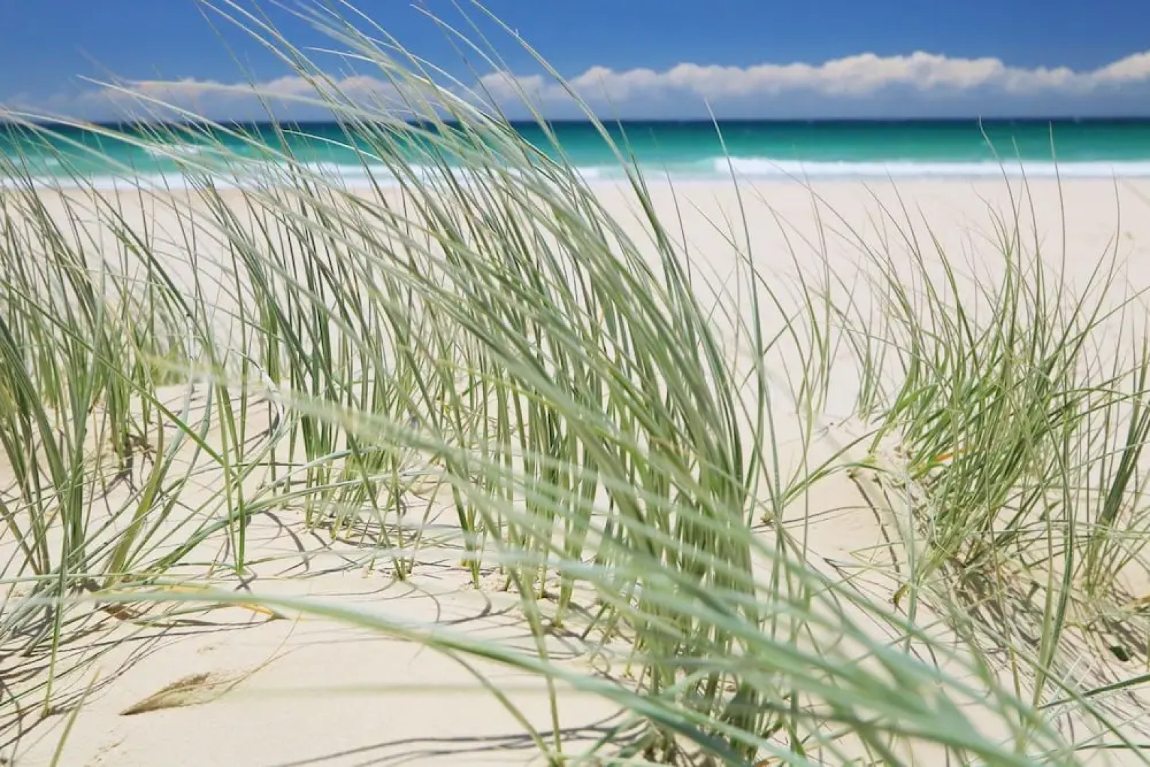 Pacific Royale Holiday Apartment 313