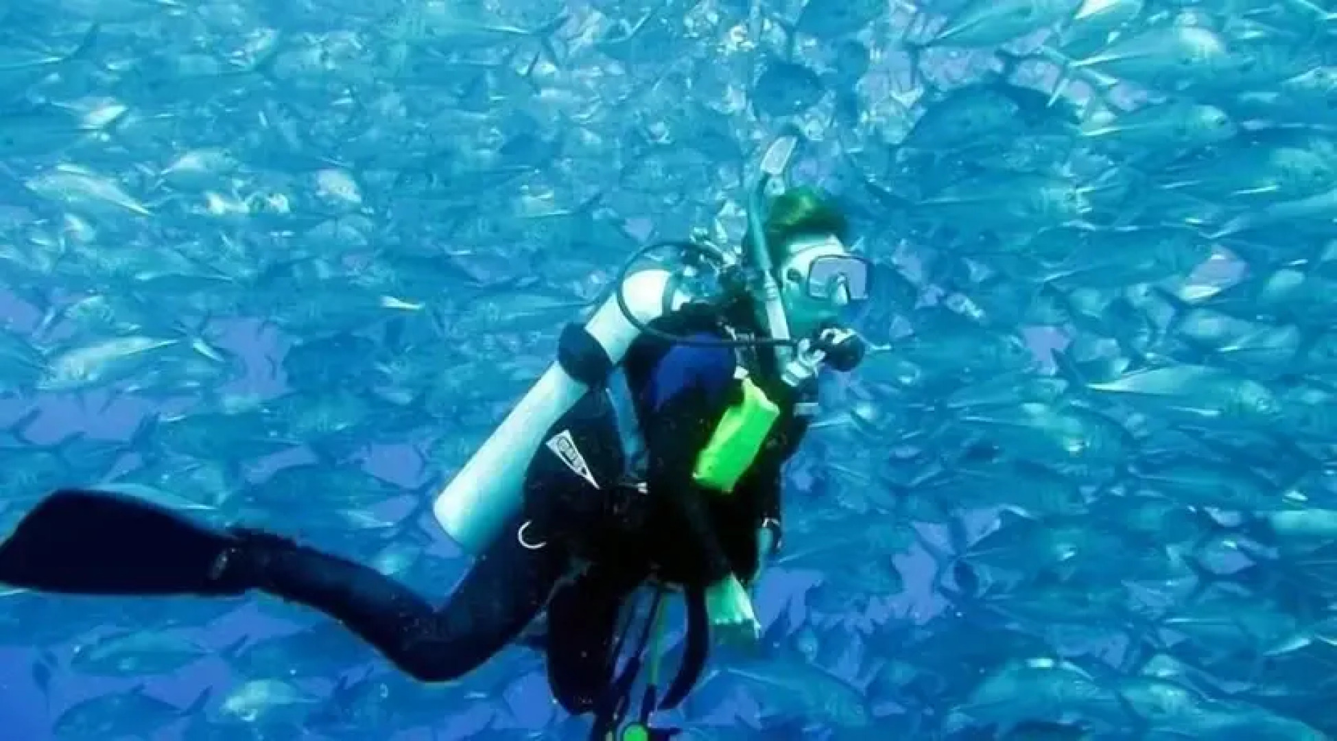 Pawikan Resort Moalboal