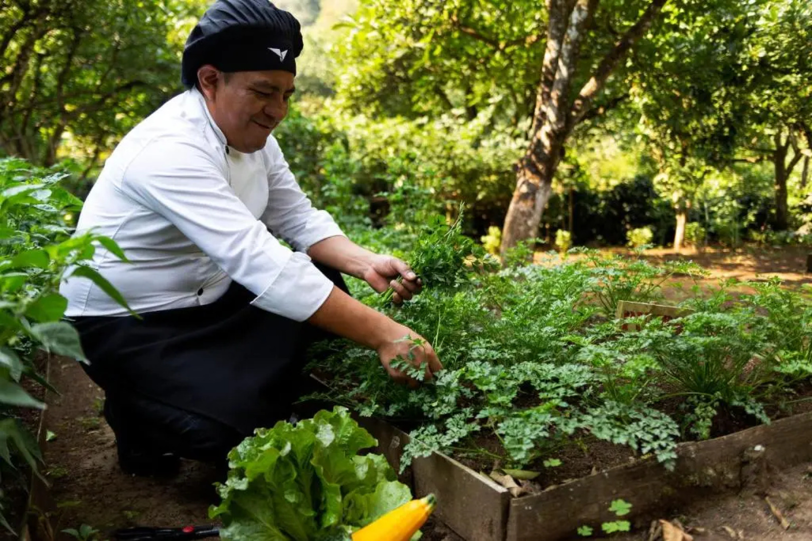 Hotel Boutique y Restaurante Paniste