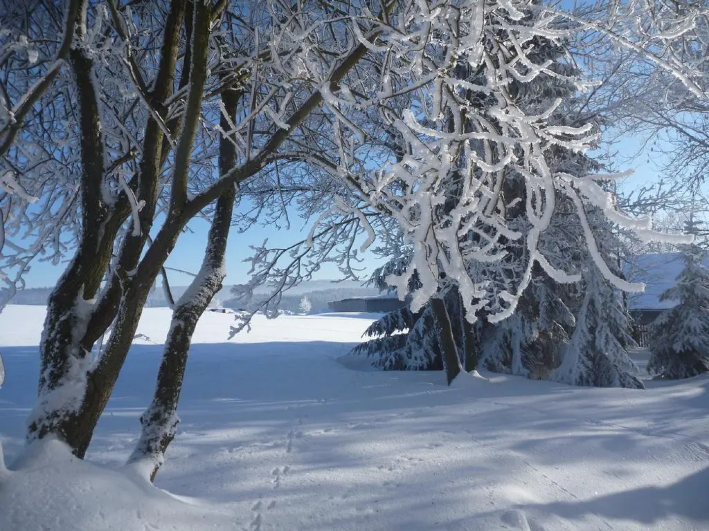Verwöhn-Pension Wiesengrund