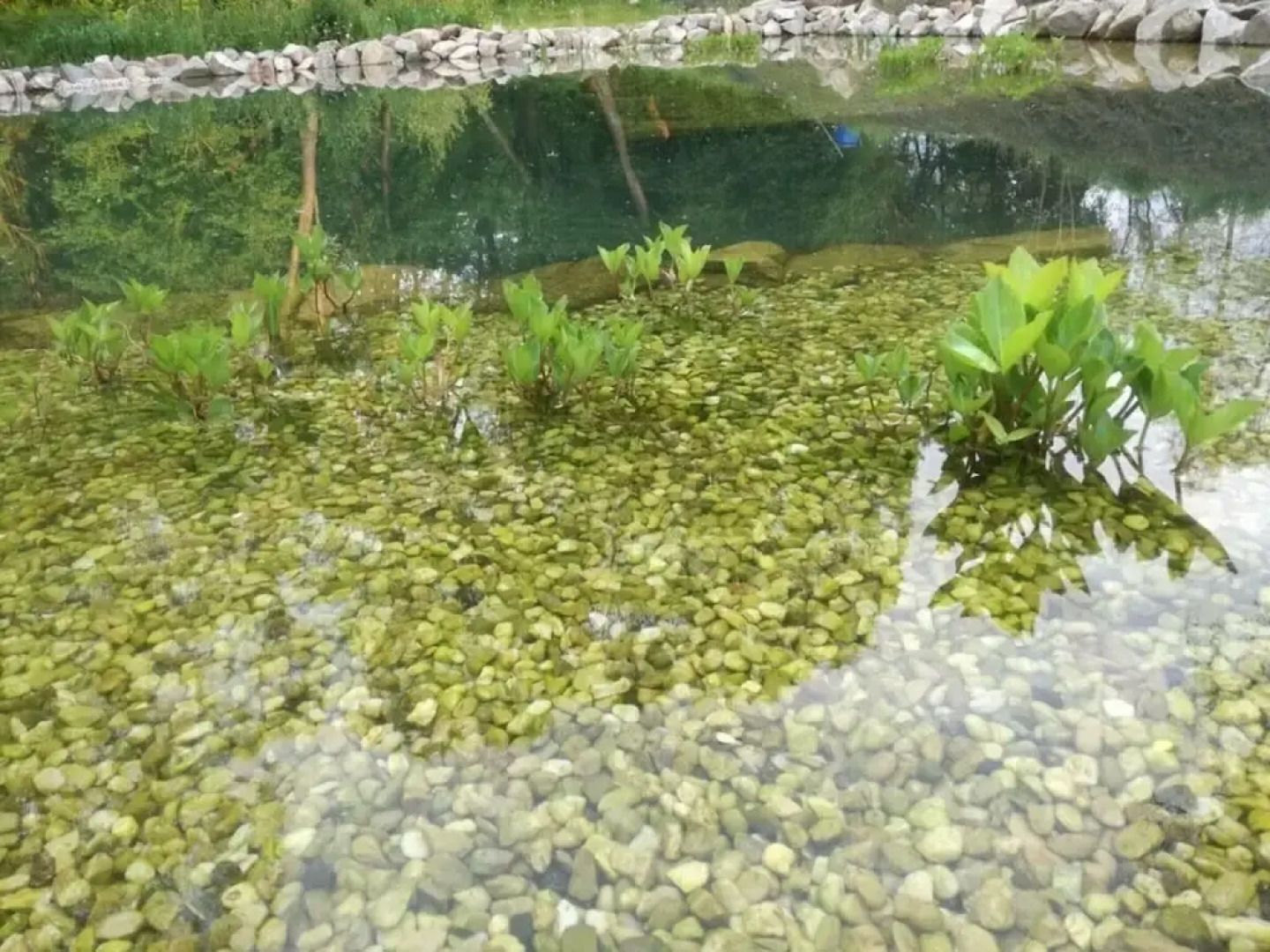 Beautiful Villa With Spacious Rooms