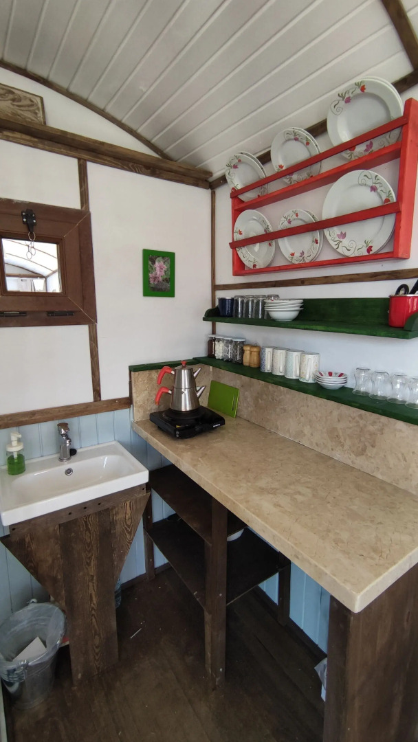 Torrhebia Dag Evi