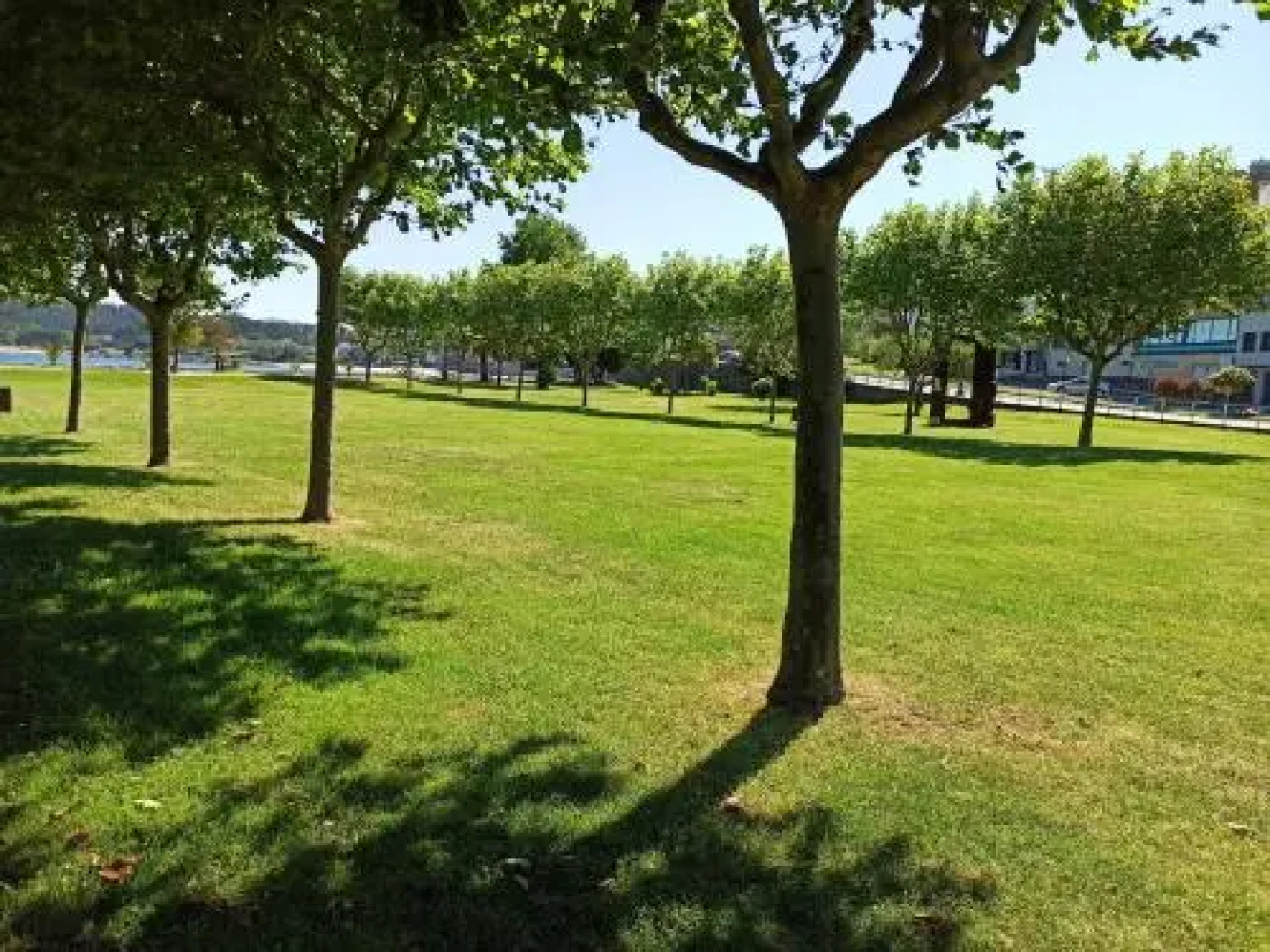 Hotel Ancora Da Ria 1* Superior