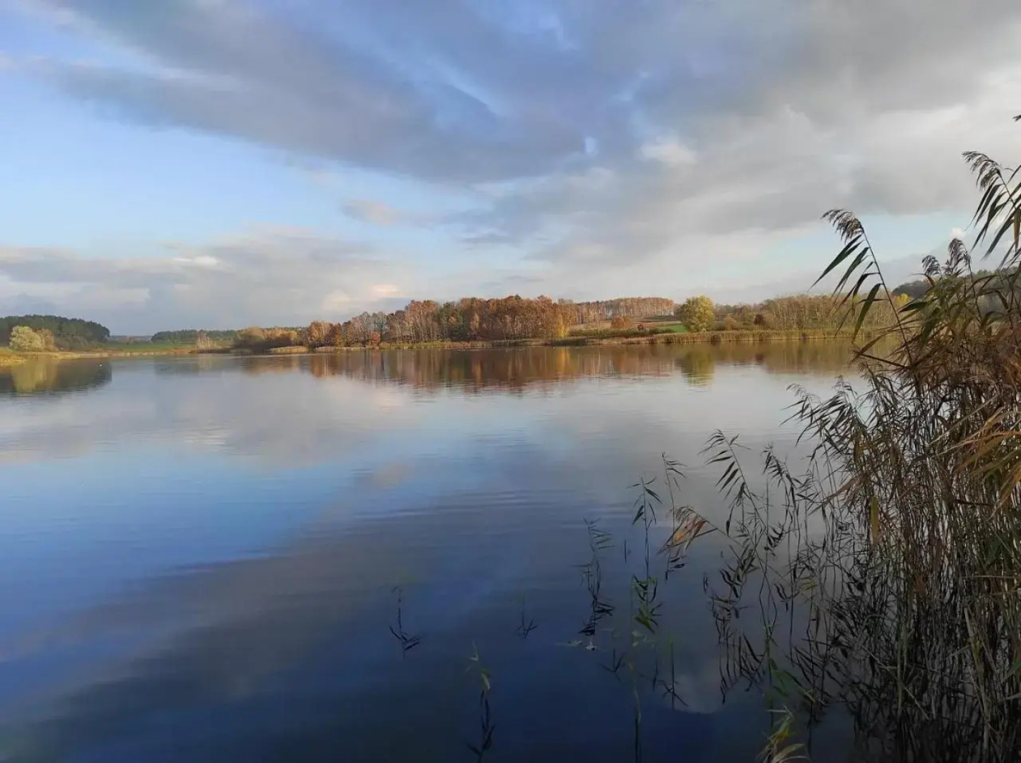 Agroturystyka Stawno49