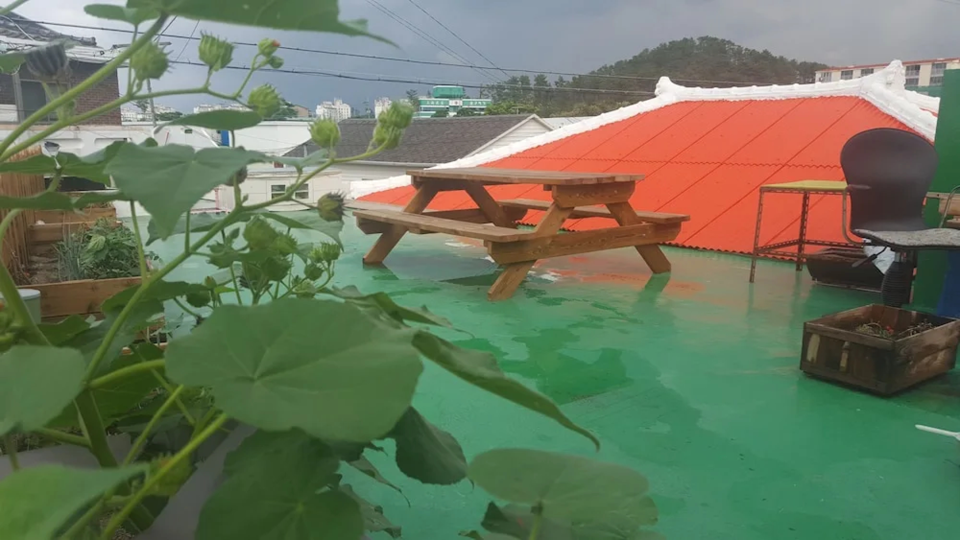 Wellbeing Guesthouse
