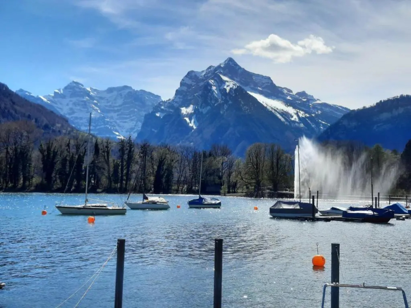 Large Apartment 8beds great for family and friends, Mountain View