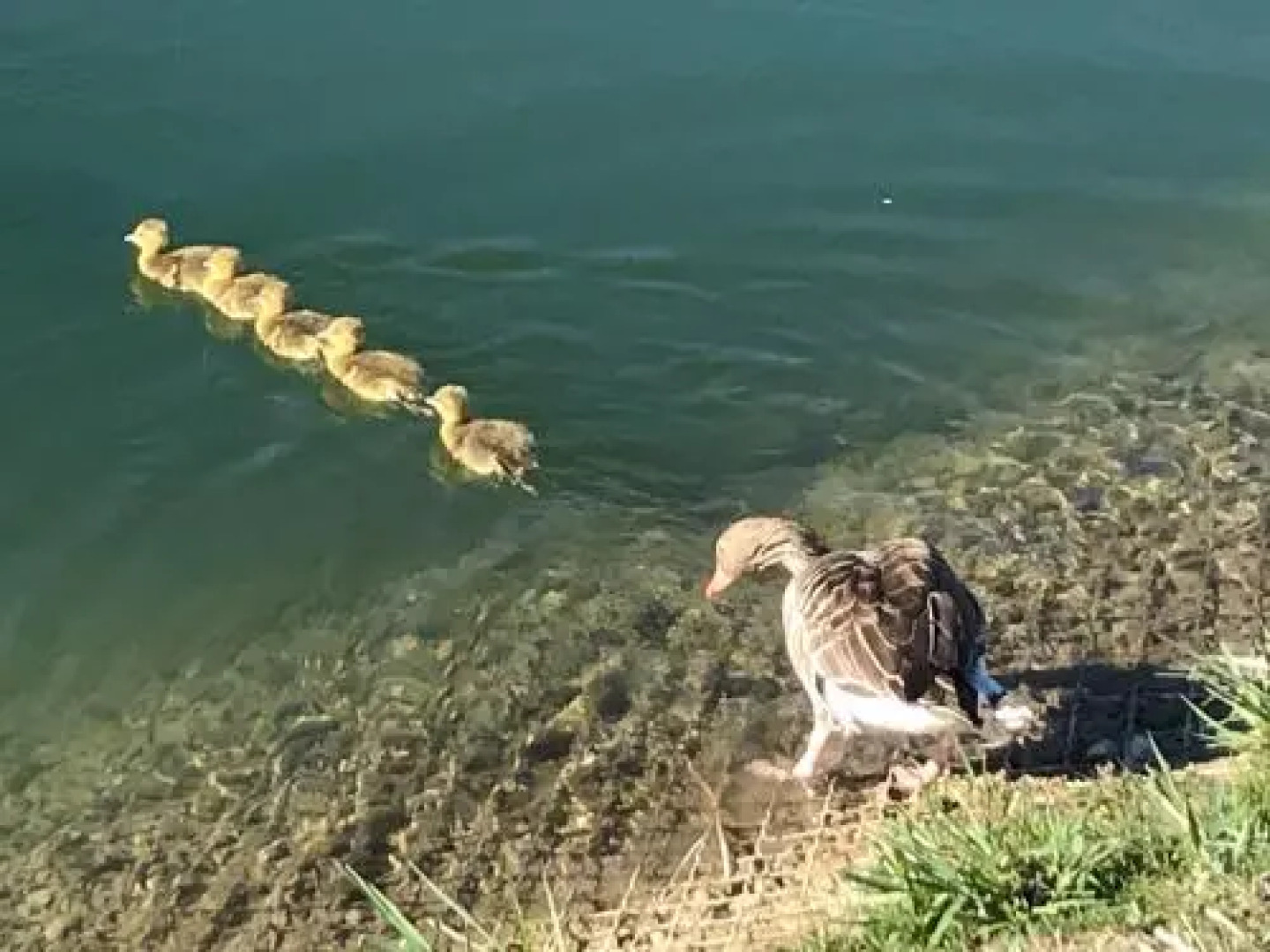 Bed and Breakfast Bavaria München