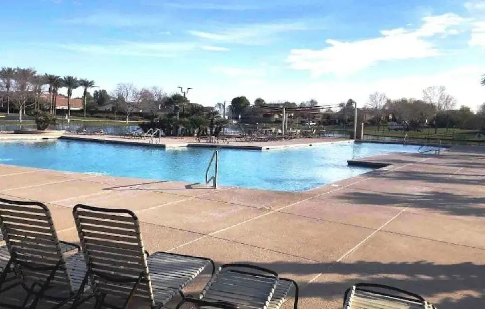 Palmen Maricopa