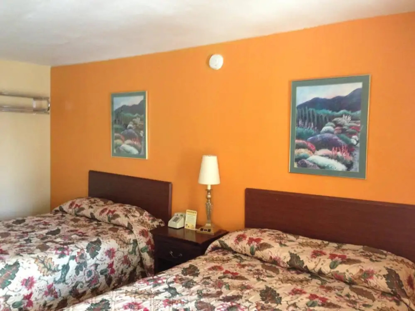 Cadet Motor Inn - Coldwater