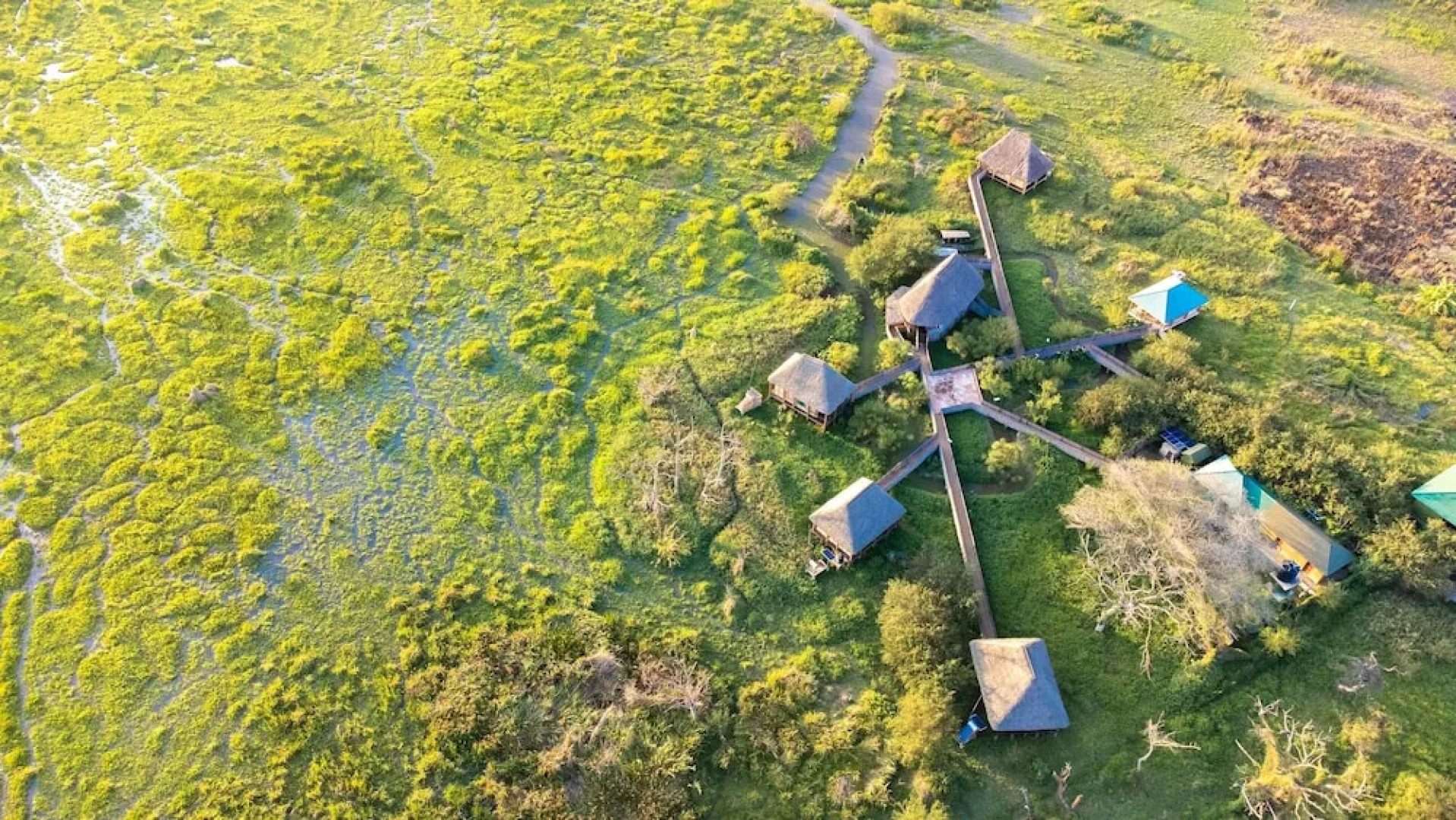 Little Okavango Camp Serengeti