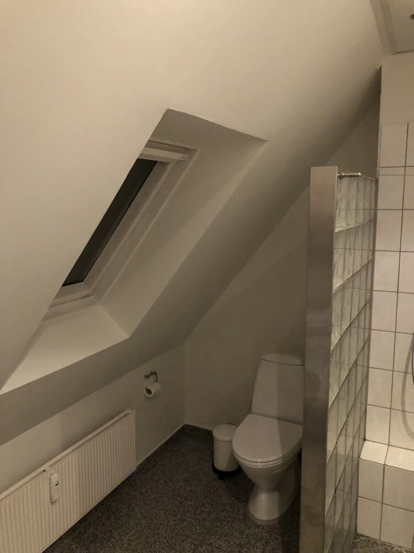 Cozy flat near CPH and public transport