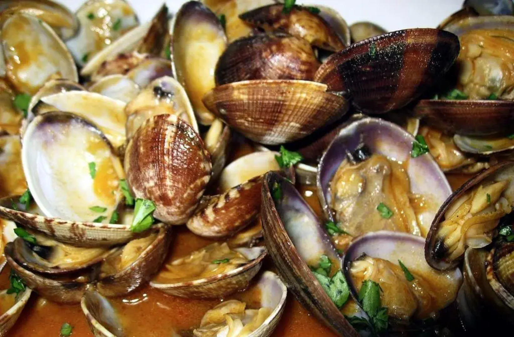 Casa Perfeuto María