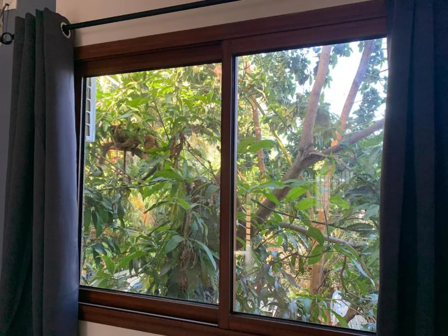 LE JACQUIER Appartements neufs vue mer ou jardin à Mamoudzou Hyper Centre