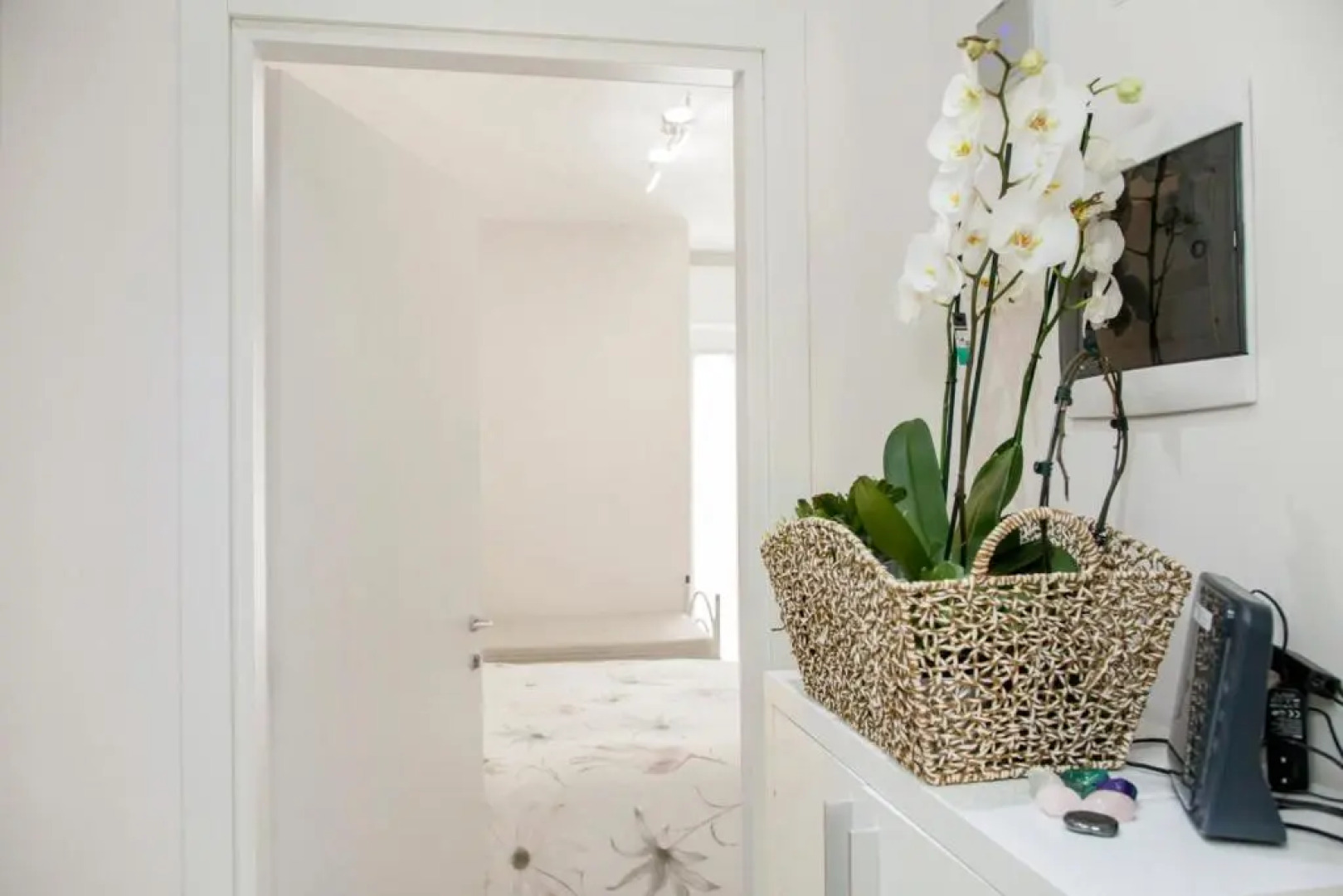 Appartamento Via Acquati 12 - Monolocale 2