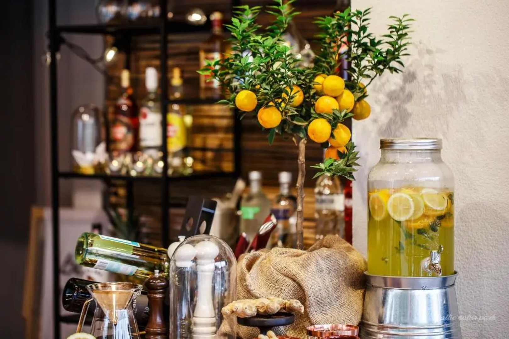 Baltic Natur Park - Holiday Resort