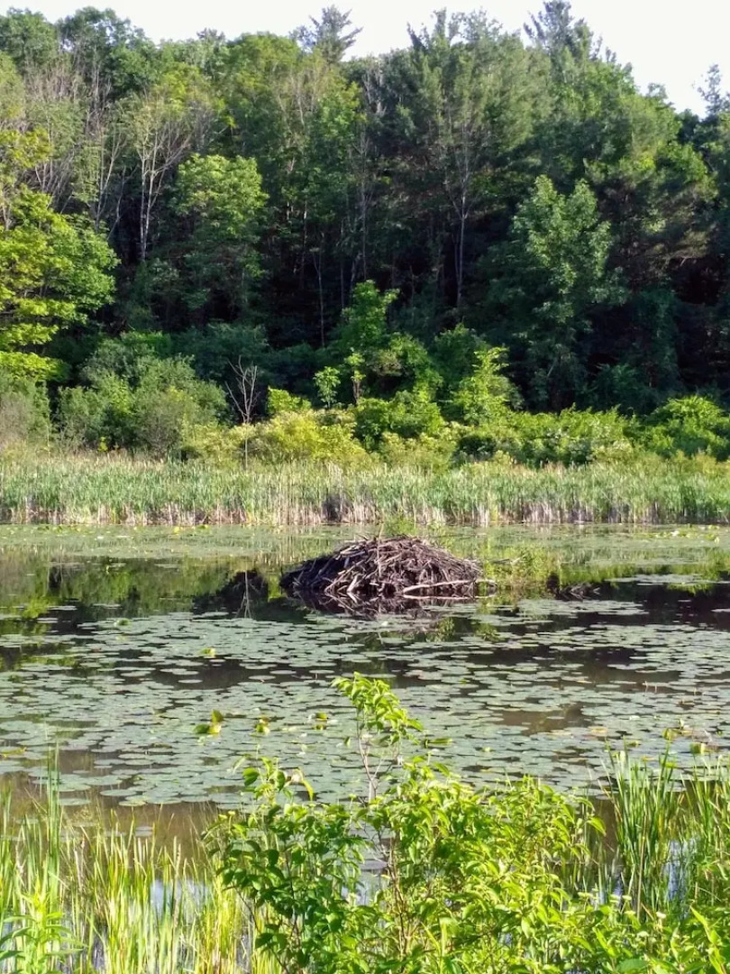 Whistler's Inn Bed & Breakfast