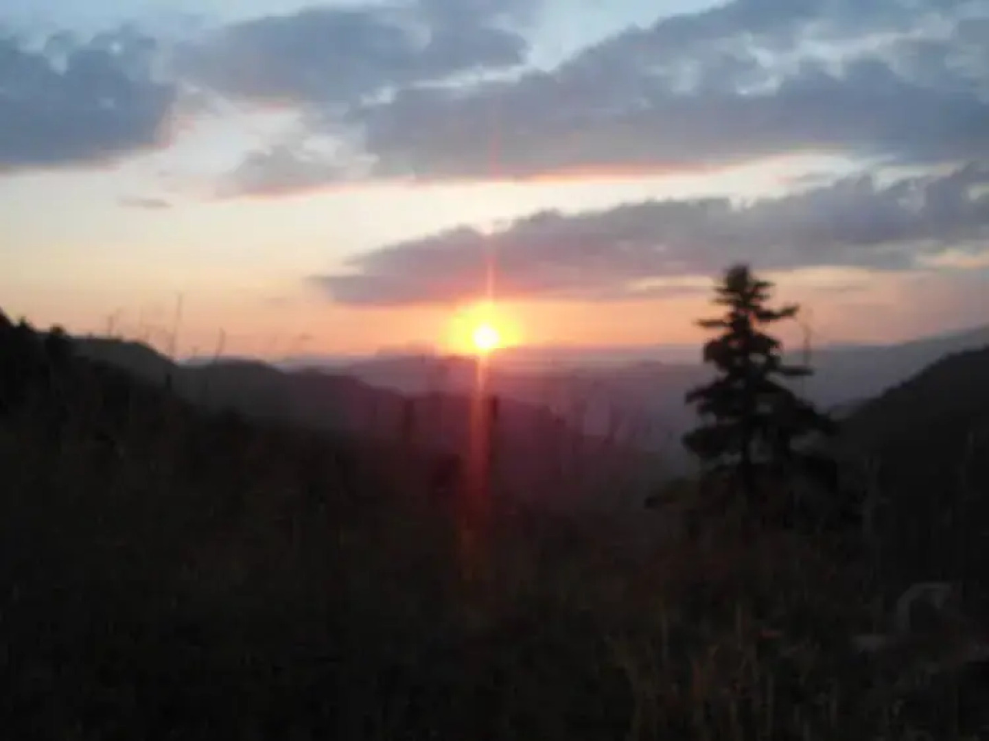 Hani Mpagasaki