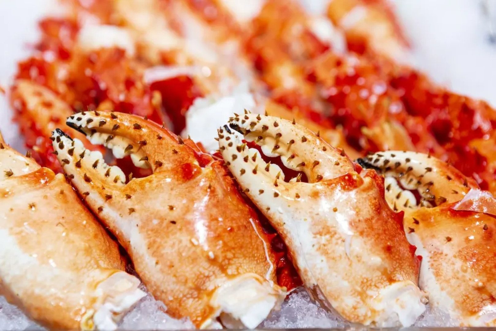 Luoyang Christian's Hotel