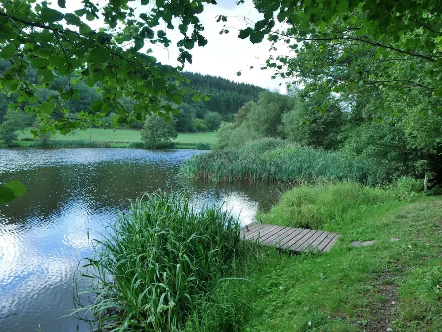 Apartment in Eifel Near Hiking Trails