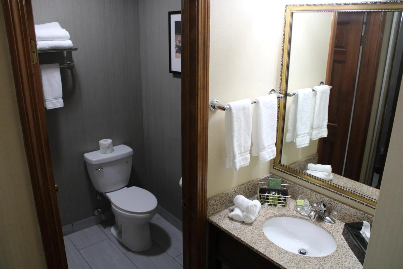 The Black Swan Lee - Lenox, an Ascend Collection Hotel