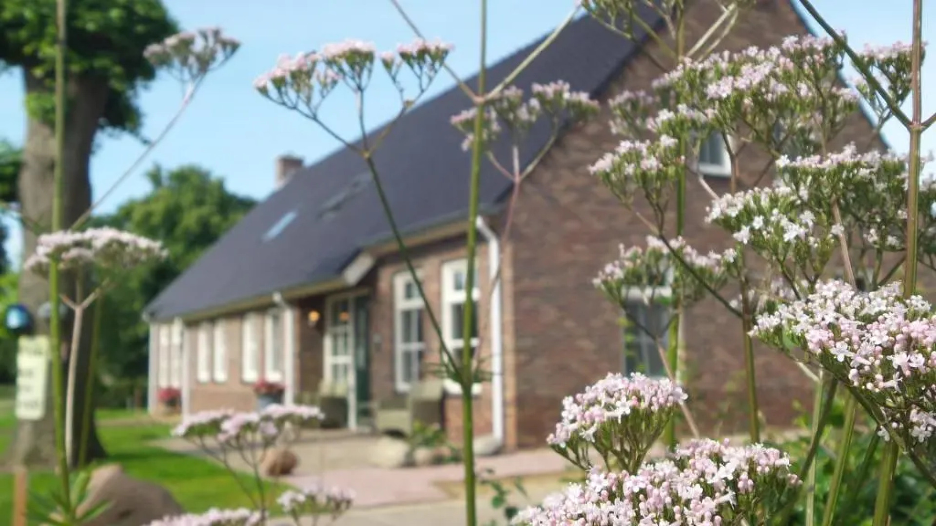 Gezond Boeren Verstand