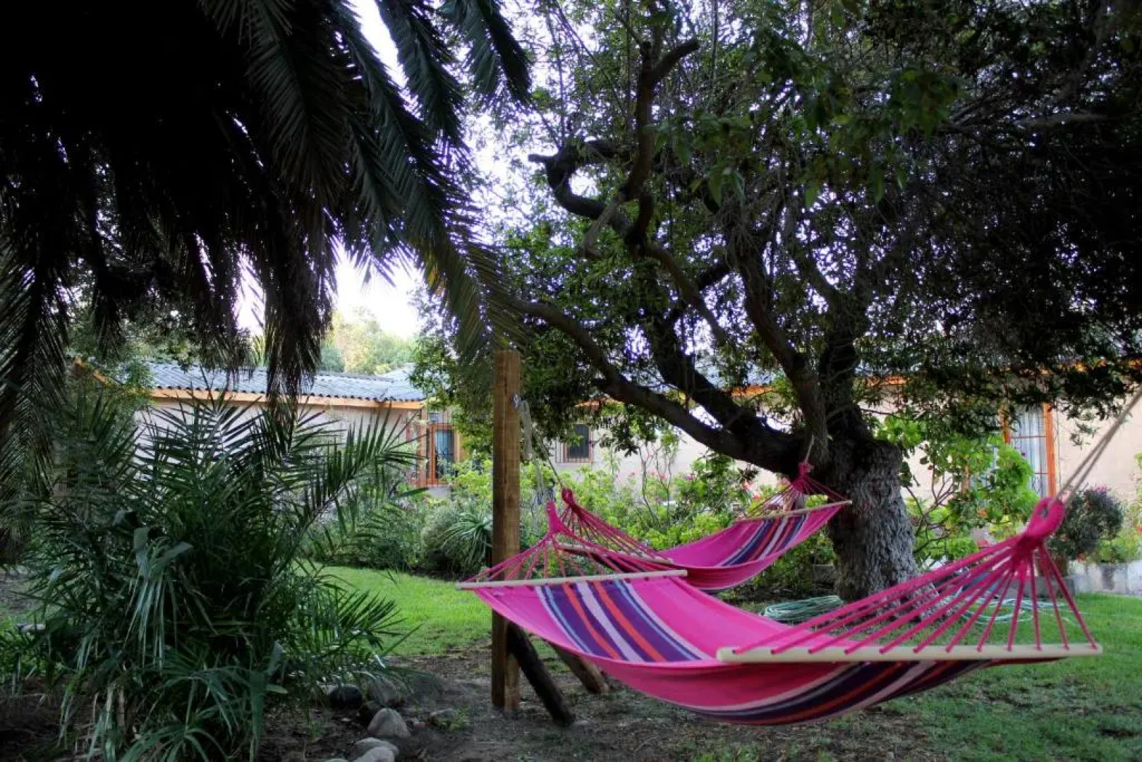 El Arbol Eco-Lodge - Hostel