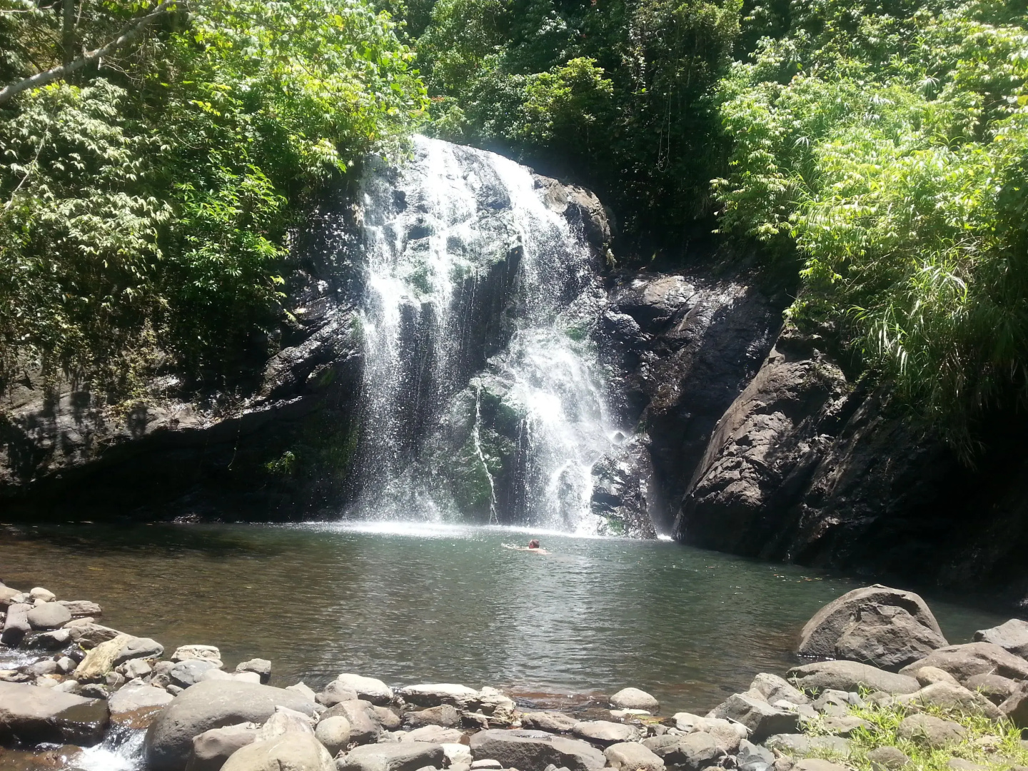 Gecko Lodge Fiji Private Hotel
