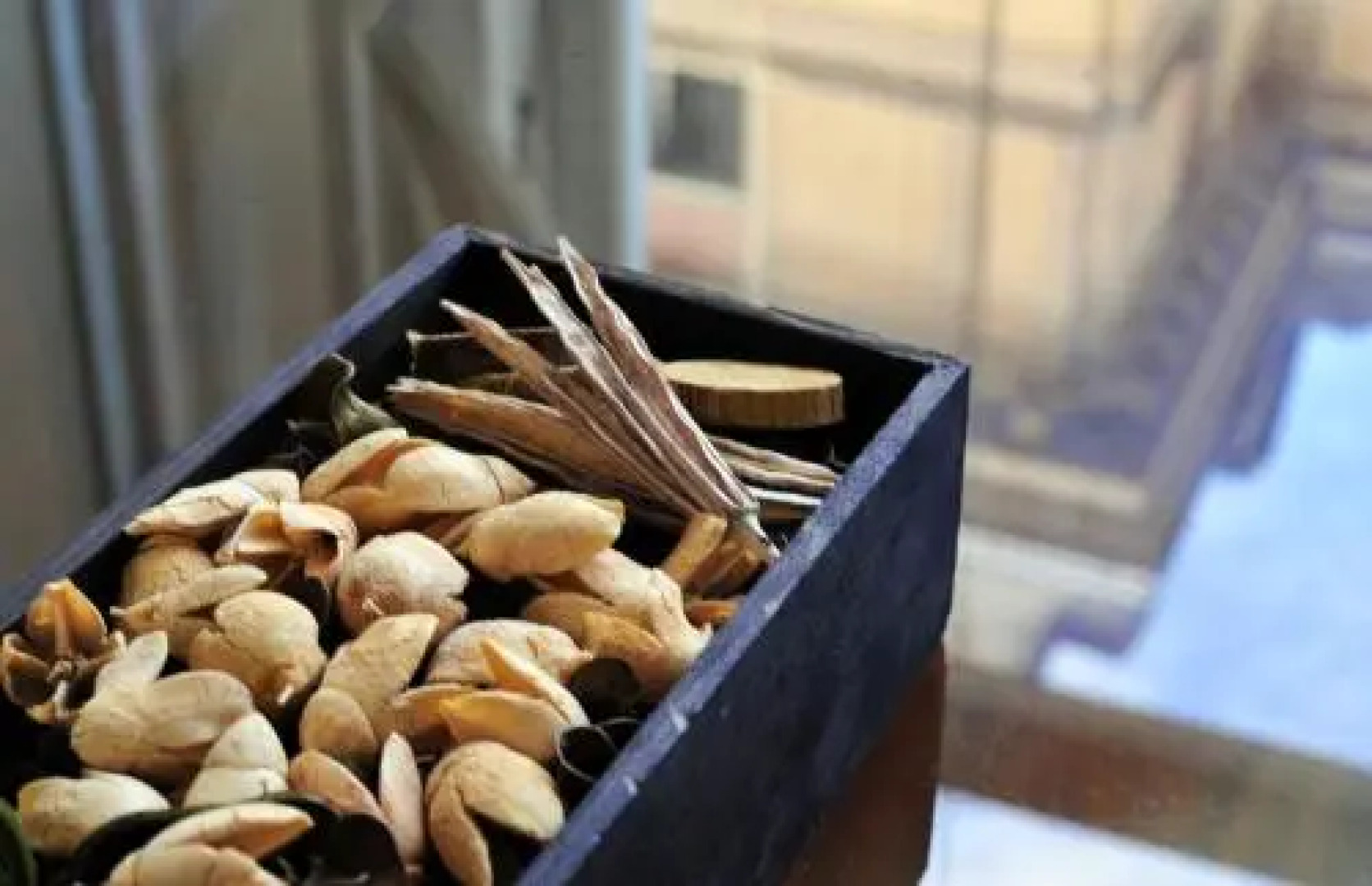 Apartment Exclusive View Cvjetni trg