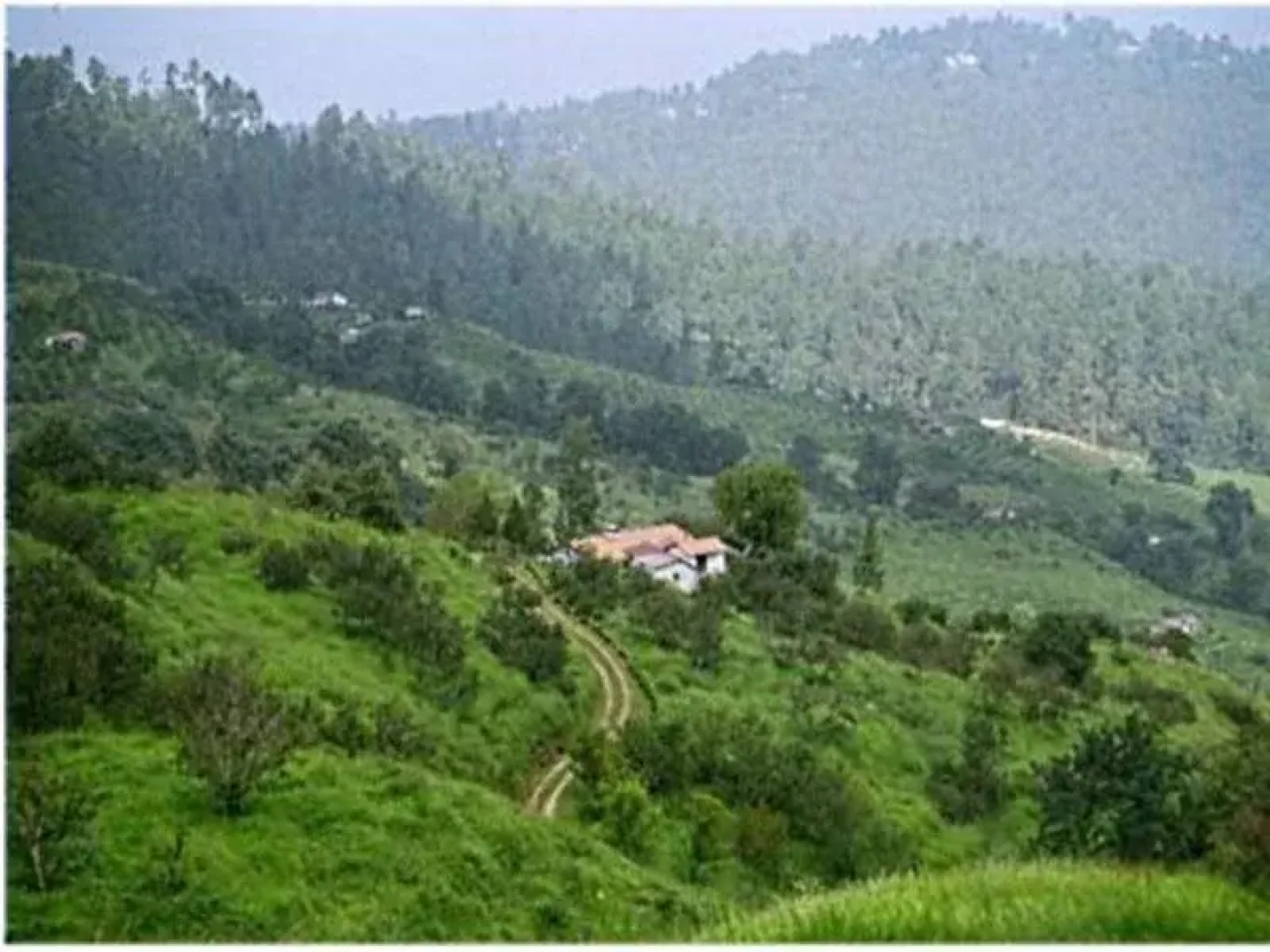 Ranikhet Grand