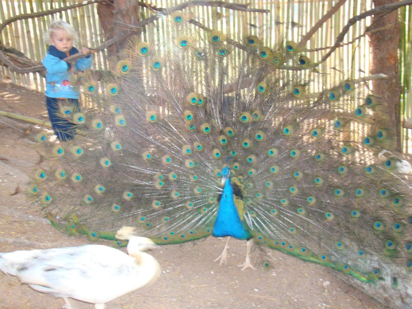 Refúgio Serra Negra