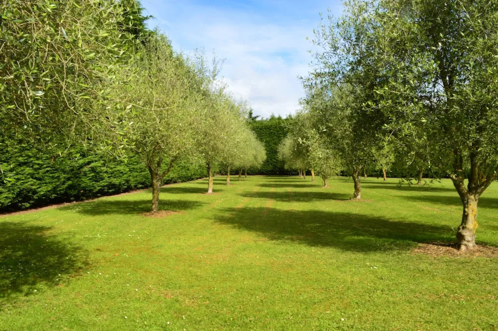 Brightwater Motor Inn