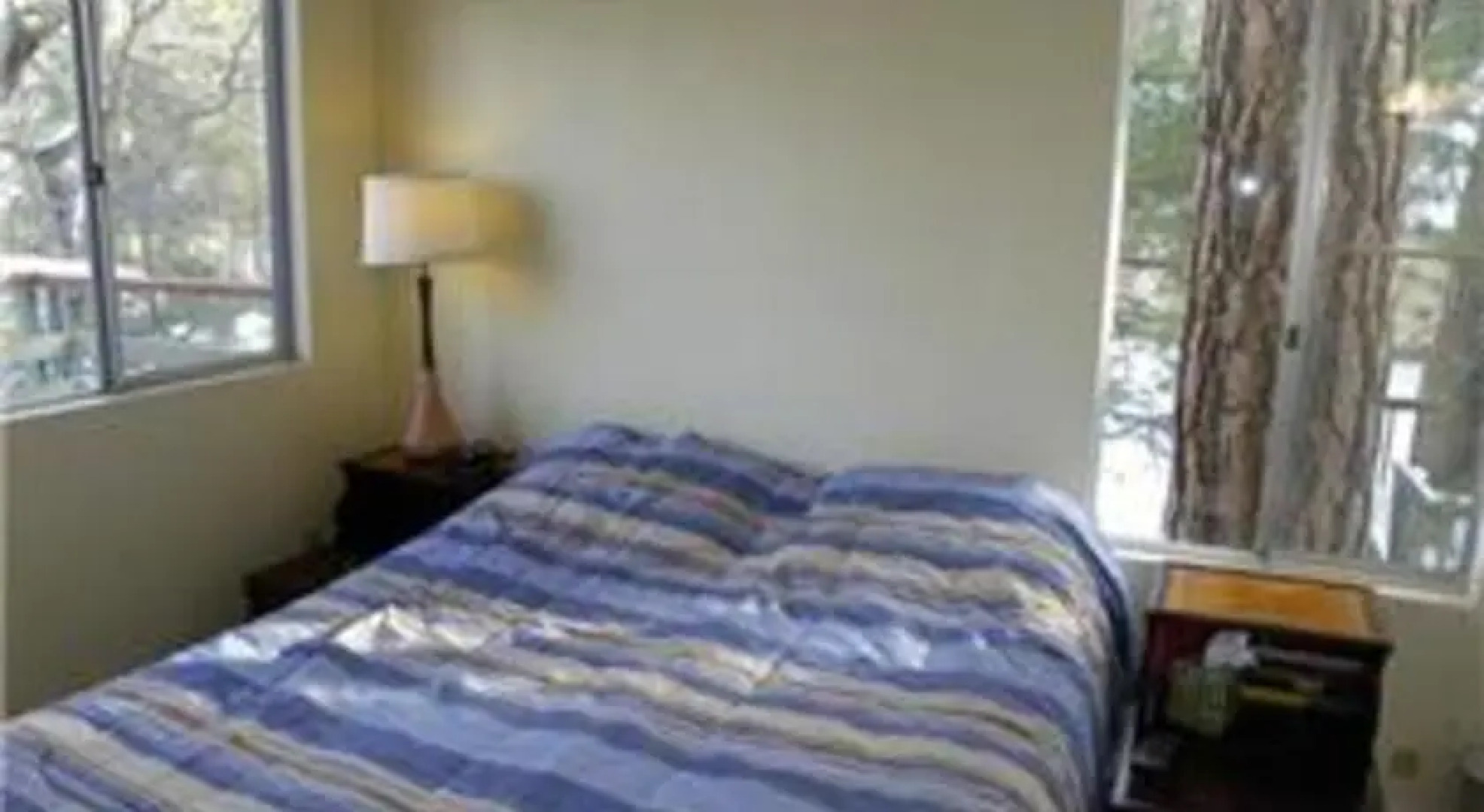 RedAwning Sugar Bear