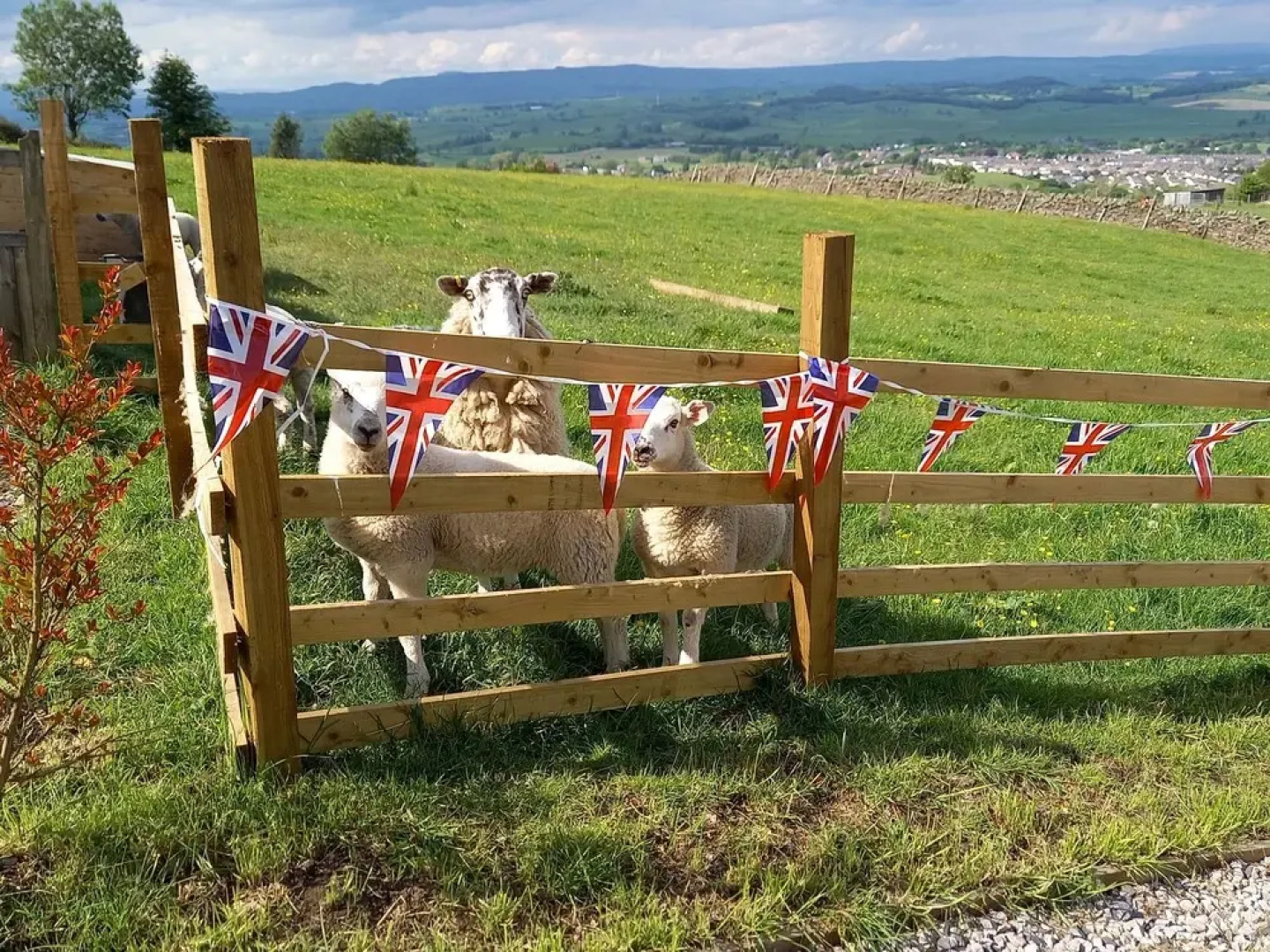 The Journeyman Luxury Shepherds Hut
