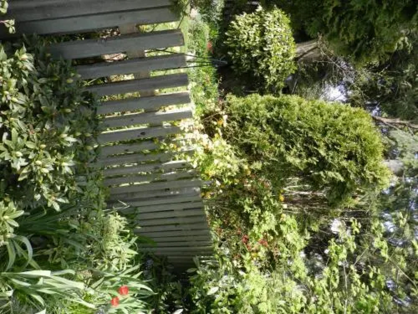 Serenity Bed and Breakfast