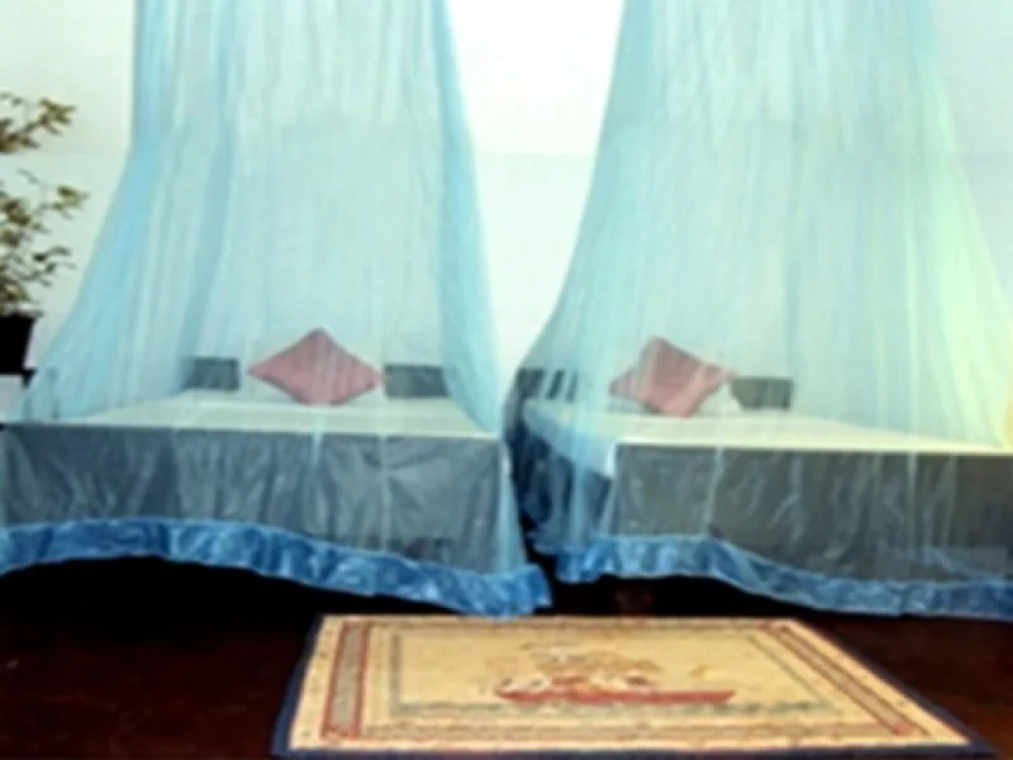 Charm Inn Tourist Rest