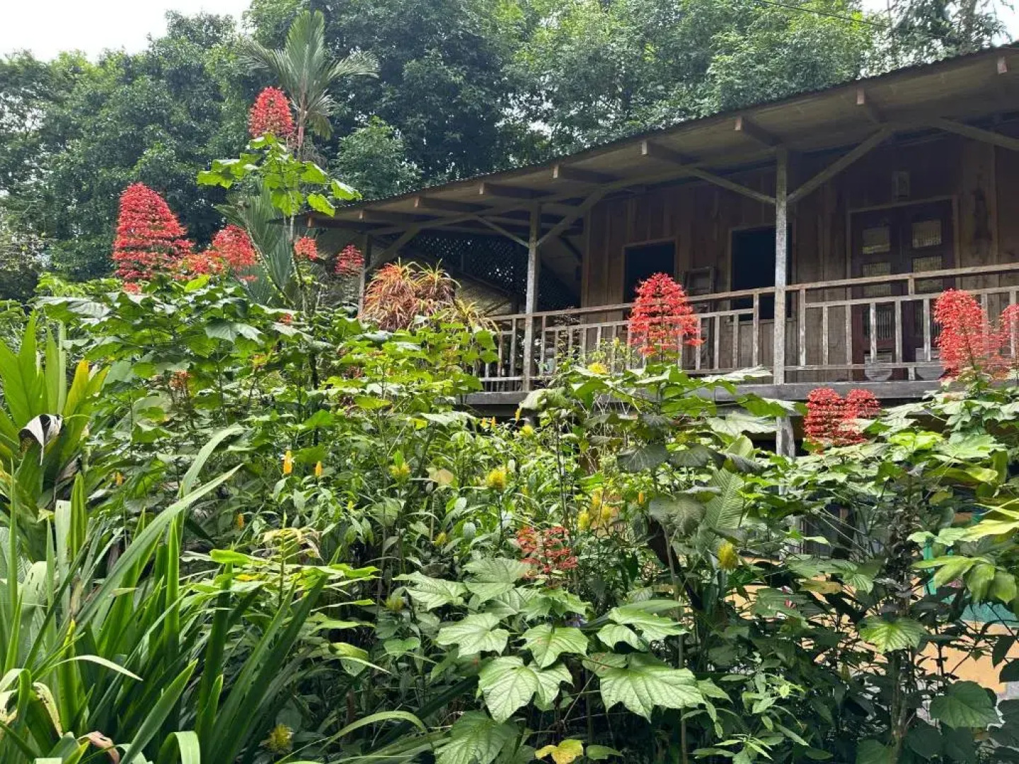 Casa Rio Blanco Eco Friendly B&B