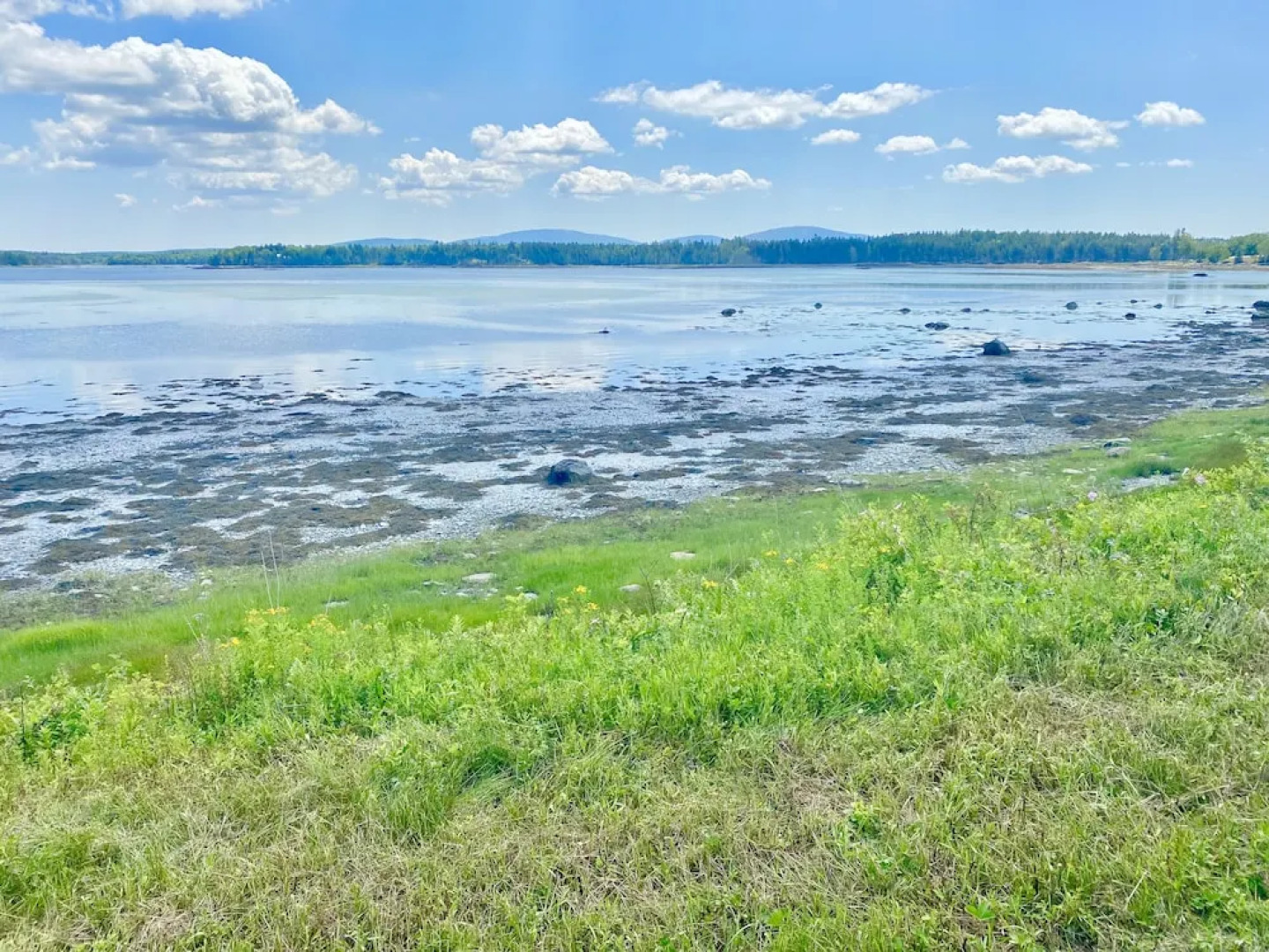 Island View Hotel Bar Harbor