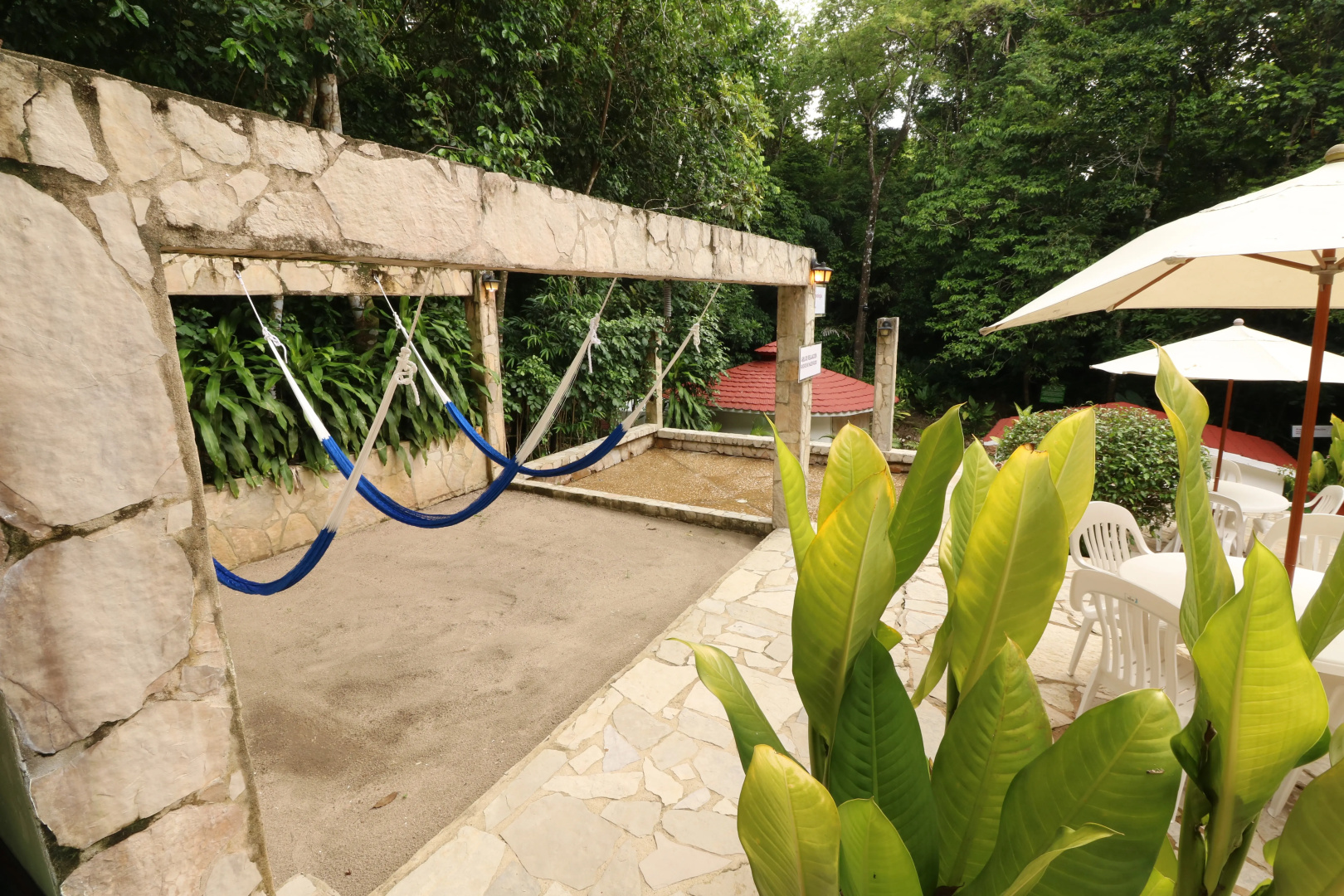 Mision Palenque