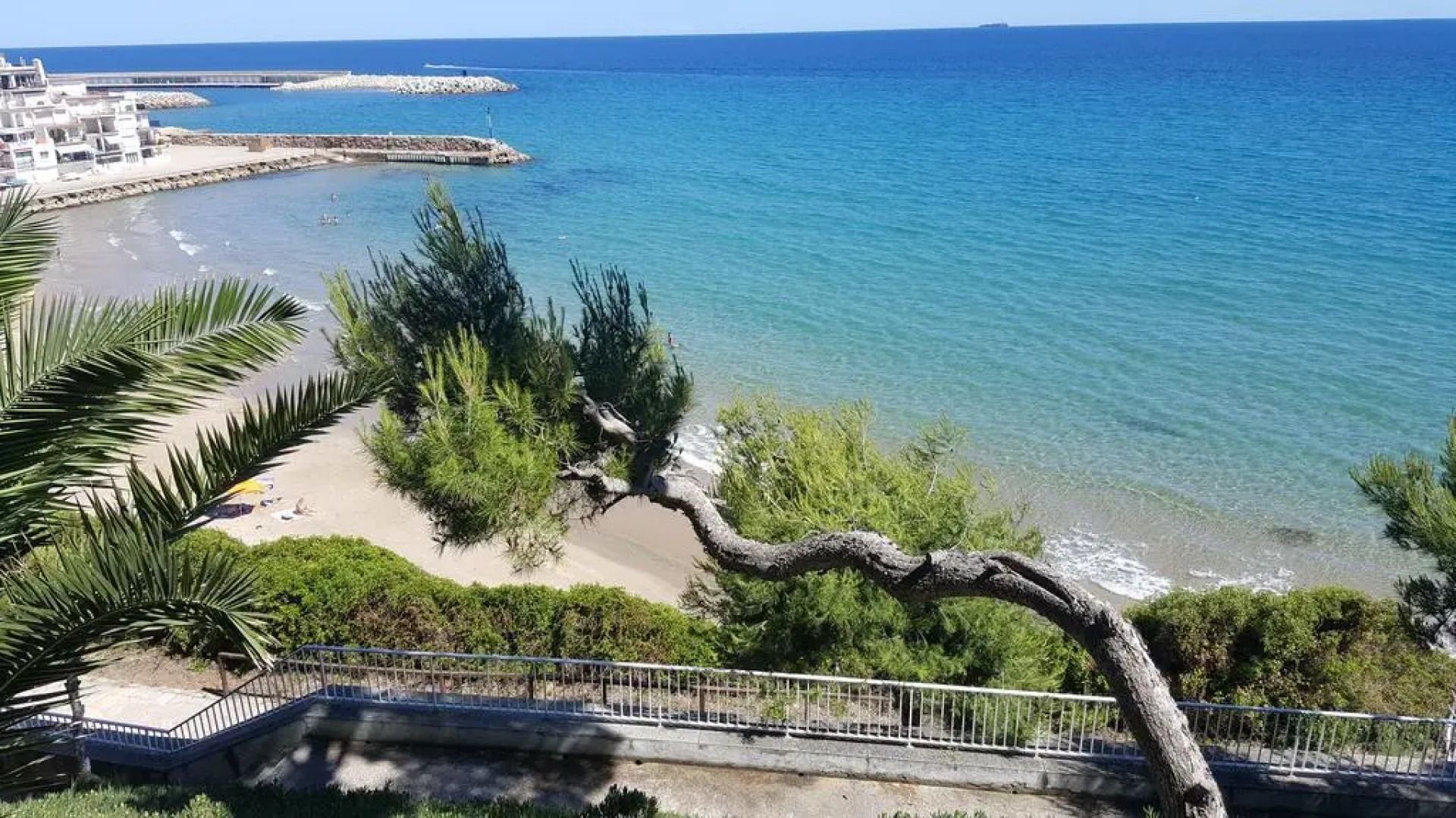 La Estrella Del Mediterraneo